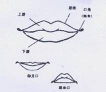 第四官,出纳官(口)