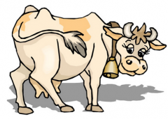 初三日生属牛人命运好吗?