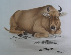 初七日生属牛人命运好吗?