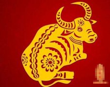 初十日生属牛人命运好吗?