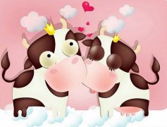 牛人生于未时命运好吗?