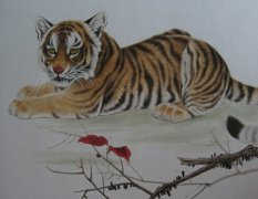 三月出生的属虎人命运好吗?