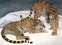 四月出生的属虎人命运好吗?