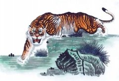 初八日生属虎人命运好吗?