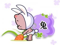 初六日生属兔人命运好吗?