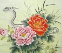 八月出生的属蛇人命运好吗?