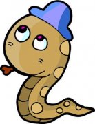 二十一日生属蛇人命运好吗?