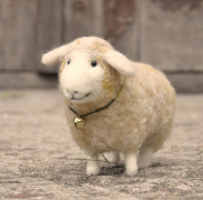 十四日生属羊人命运好吗?