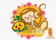 十三日生属猴人命运好吗?