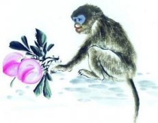 二十九日生属猴人命运好吗?