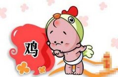 五月出生的属鸡人命运好吗?