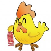 初六日生属鸡人命运好吗?