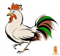 二十七日生属鸡人命运好吗?