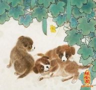 初三日生属狗人命运好吗?