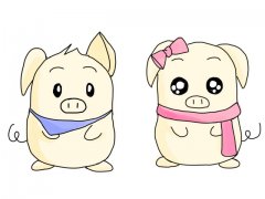 初五日生属猪人命运好吗?