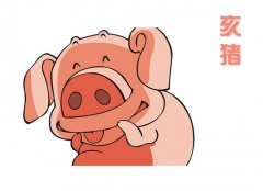 初六日生属猪人命运好吗?