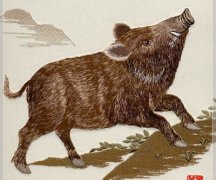 二十七日生属猪人命运好吗?