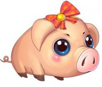 猪人生于午时命运好吗?