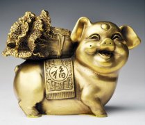 猪人生于亥时命运好吗?