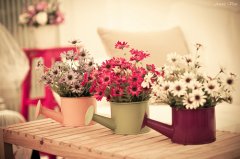 家庭风水常用口诀有哪些?