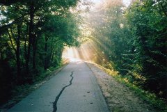 切记:四种梦不能占卜