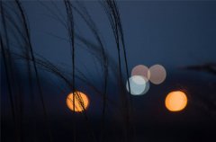 娜迪亚2018年星座运势摩羯座