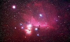 拉莎2018年星座爱情运程