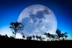 苏珊米勒2018年5月星座运程水瓶座