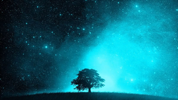 魔羯座性格_魔羯座日期_魔羯座的小秘密_魔羯座男生_魔羯座女生