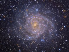 凯利2019年星座运程天秤座