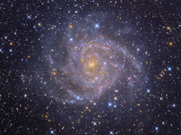 凯利2019年星座运程天秤座