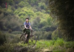 佩妮2020年6月星座运势