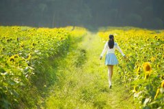 佩妮2021年11月星座运势