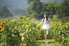 苏珊米勒2021年12月星座运程双子座