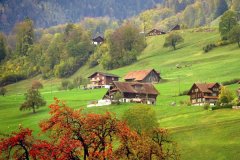 苏珊米勒白羊座2022年1月星座运程