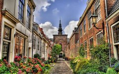 苏珊米勒处女座2022年1月星座运程