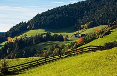 2022年2月星座运势