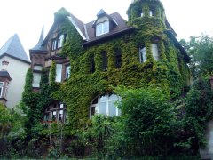 苏珊米勒2022年3月水瓶座星座运势