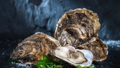 梦见牡蛎 梦见牡蛎好不好 梦见牡蛎是什么预兆