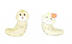 梦见蛹 做梦梦见蛹是什么预兆 梦见蛹好不好