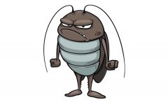 梦见蟑螂 做梦梦见蟑螂是什么预兆 梦见蟑螂好不好