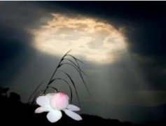 梦见投胎轮回 做梦梦见投胎轮回是什么预兆 梦见投胎轮回好不好