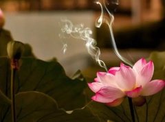 梦见脱离红尘 做梦梦见脱离红尘是什么预兆 梦见脱离红尘好不好