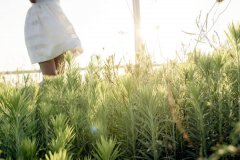 苏珊米勒2022年4月处女座运势