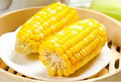 梦见玉米 做梦梦见玉米是什么预兆 梦见玉米好不好