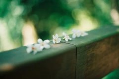 苏珊米勒2022年5月白羊座运势