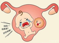 梦见子宫 做梦梦见子宫是什么预兆 梦见子宫好不好