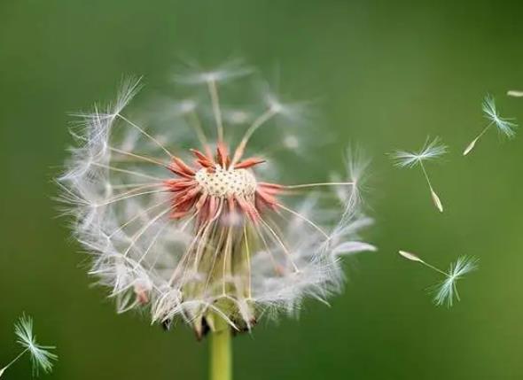 梦见失去丢失东西