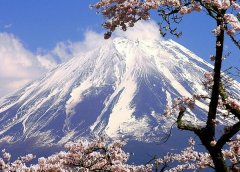 苏珊米勒2022年7月白羊座运势