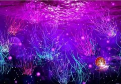 苏珊米勒2022年7月双子座运势